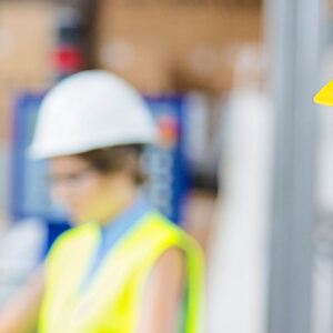 Maintenance Management Professional