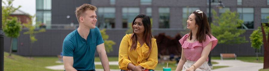 Intercultural Communications